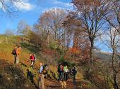 DIVERTENTE SALITA DA FUIPIANO IN VETTA AL RESEGONE il 6 novembre 2010 - FOTOGALLERY